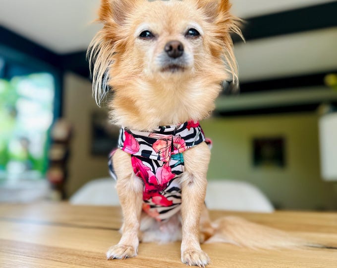 Dog Raincoat Softshell with Velcro for Chihuahua/Small Dog Waterproof