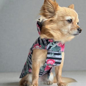 Hund Regenmantel Softshell gestreift Blumenmuster mit Klettverschluss für Chihuahua / kleine Hunde Wasserdicht Hunderegenmantel Bild 11