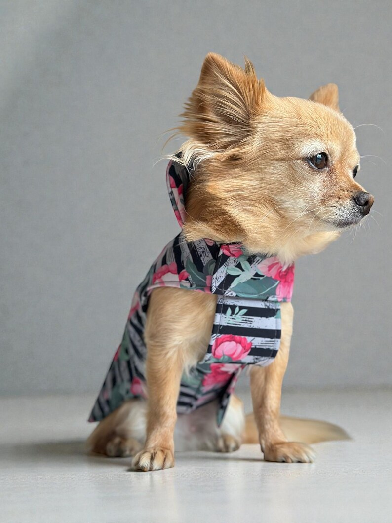 Hund Regenmantel Softshell gestreift Blumenmuster mit Klettverschluss für Chihuahua / kleine Hunde Wasserdicht Hunderegenmantel Bild 11