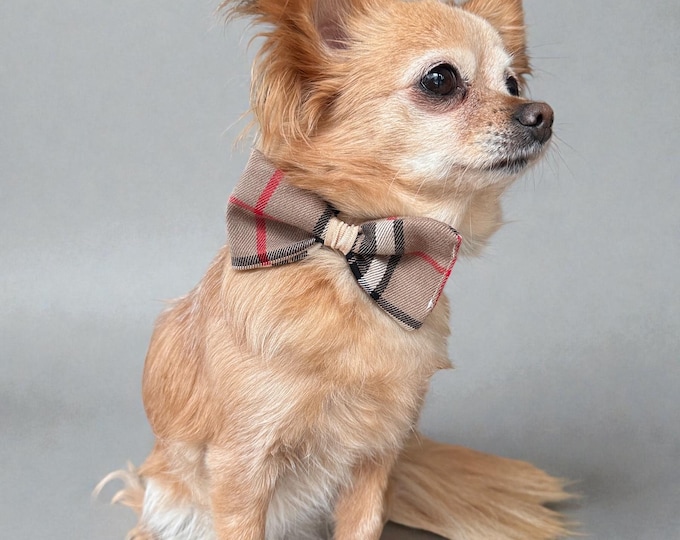 Dog bow tie in tartan pattern for collar or harness, wedding bow tie for dogs