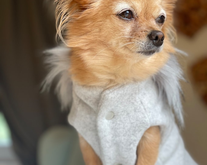 Dog coat fleece for small dog I Chihuahua made of organic cotton with faux fur collar