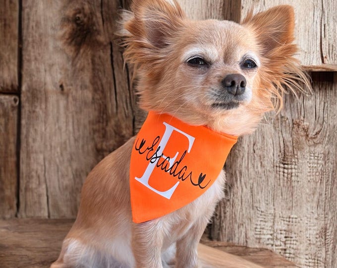 dog scarf with name