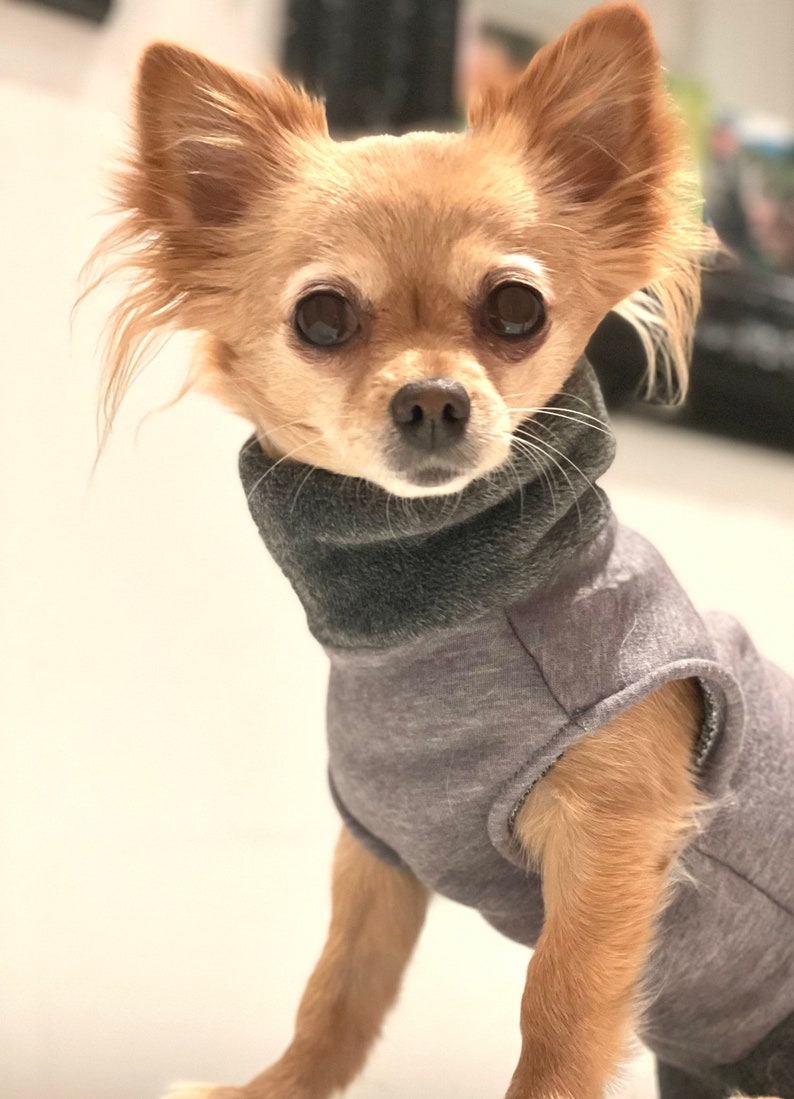 Hundepullover gefüttert in verschiedenen Farben Chihuahua / Kleinhund Pullover Bild 9