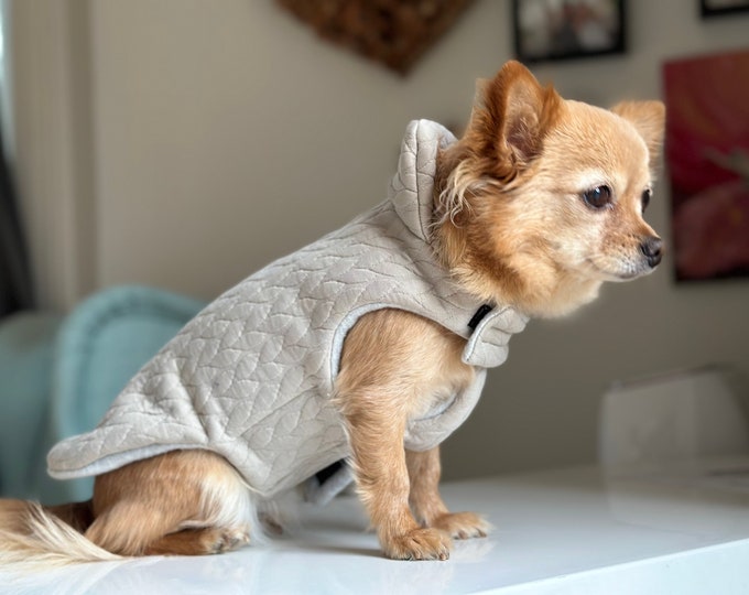Dog coat with cable pattern for small dog | Chihuahua