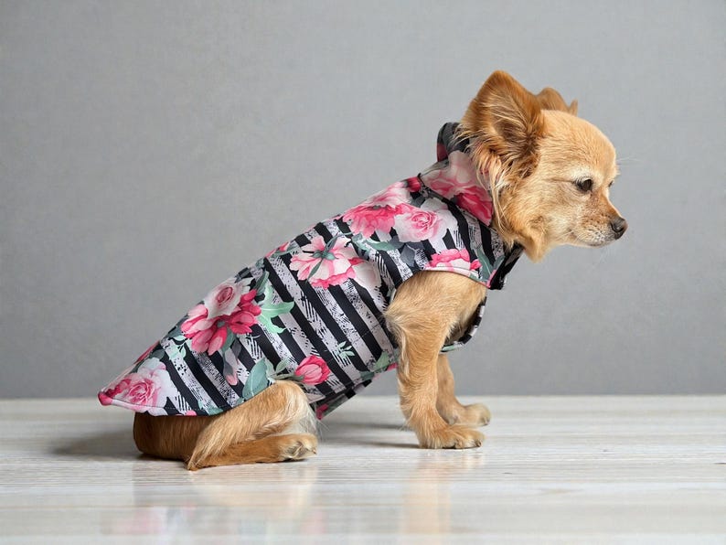 Hund Regenmantel Softshell gestreift Blumenmuster mit Klettverschluss für Chihuahua / kleine Hunde Wasserdicht Hunderegenmantel Bild 3