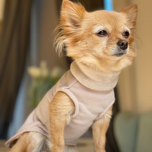 Hundepullover gefüttert in verschiedenen Farben Chihuahua / Kleinhund Pullover Bild 7