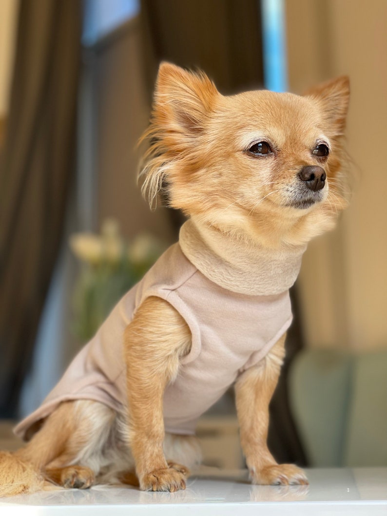 Hundepullover gefüttert in verschiedenen Farben Chihuahua / Kleinhund Pullover Bild 7