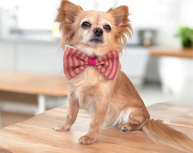 Dog bow tie, muslin strip for collar or harness, wedding bow tie for dogs
