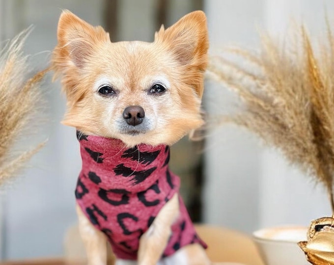 Lined dog sweater in olive green, wine red / leopard print | Chihuahua / small dog sweater