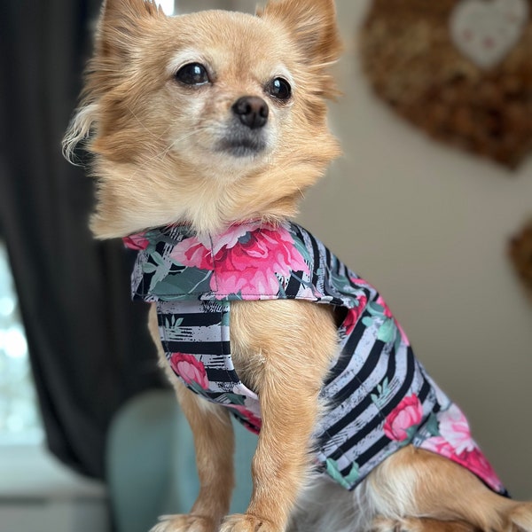 Hunde-Regenmantel Softshell mit Klettverschluss für Chihuahua-/Kleinhund Wasserdicht