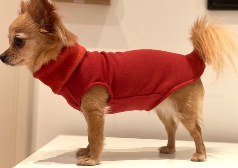 Hundepullover gefüttert in verschiedenen Farben Chihuahua / Kleinhund Pullover Bild 6