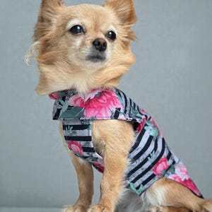 Hund Regenmantel Softshell gestreift Blumenmuster mit Klettverschluss für Chihuahua / kleine Hunde Wasserdicht Hunderegenmantel Bild 10