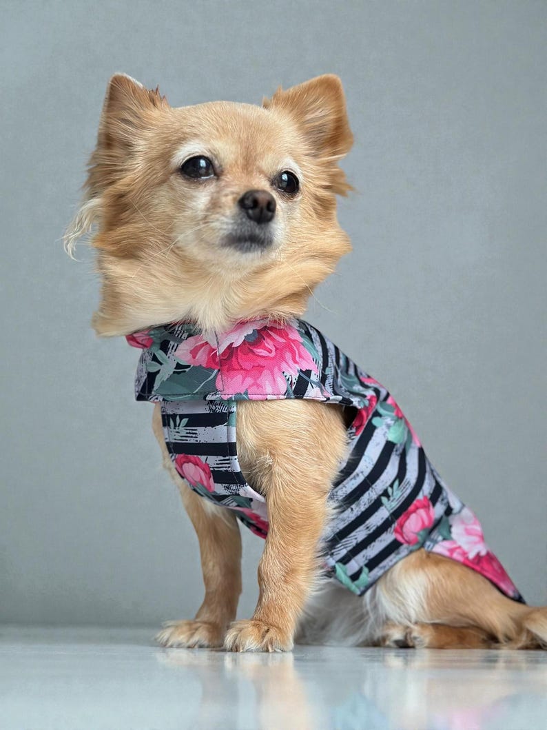 Hund Regenmantel Softshell gestreift Blumenmuster mit Klettverschluss für Chihuahua / kleine Hunde Wasserdicht Hunderegenmantel Bild 10