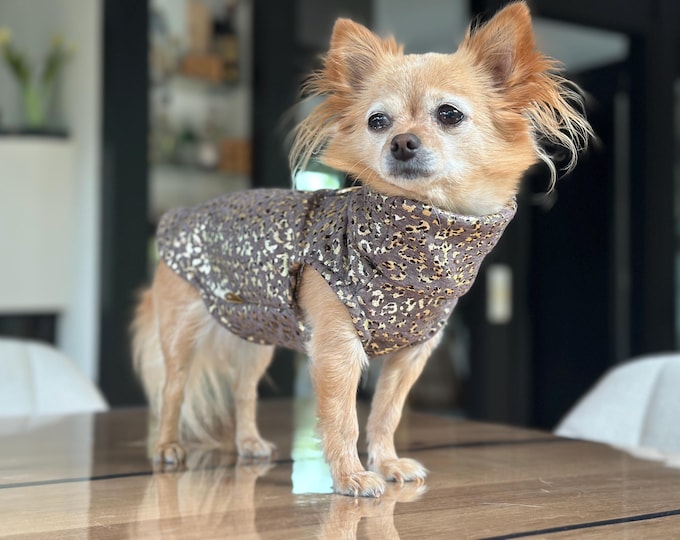 Dog sweater lined Leo-print Chihuahua / small dog sweater