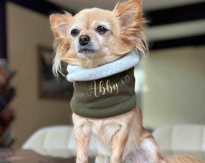 Dog loop with name | Bandana for dogs Dog scarf for dogs, Chihuahua