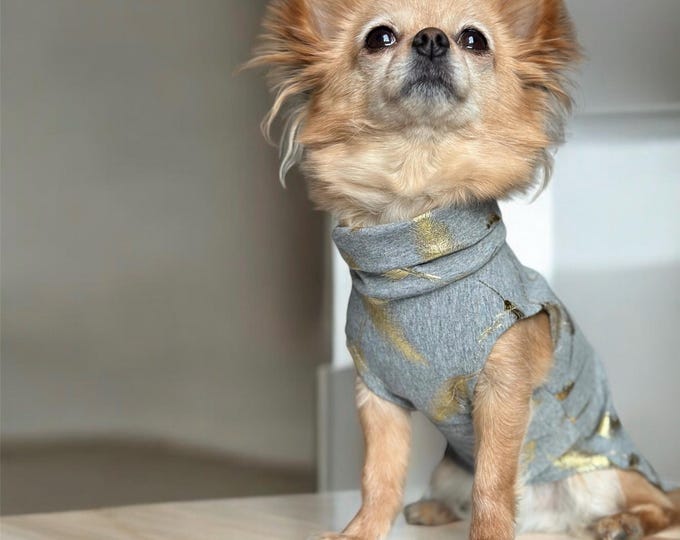 Dog sweater Chihuahua | Small dog