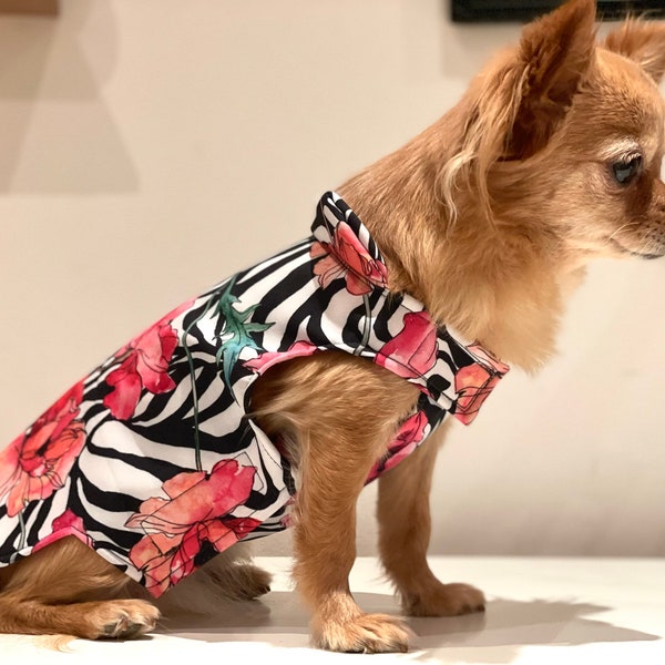 Hunde-Regenmantel Softshell mit Klettverschluss für Chihuahua-/Kleinhund Wasserdicht