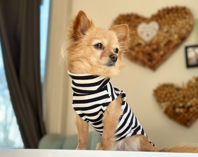 Dog Sweater Marine Stripes for Small Dog / Chihuahua personalized