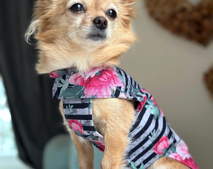Dog Raincoat Softshell with Velcro for Chihuahua/Small Dog Waterproof