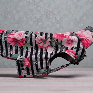 Hund Regenmantel Softshell gestreift Blumenmuster mit Klettverschluss für Chihuahua / kleine Hunde Wasserdicht Hunderegenmantel Bild 4