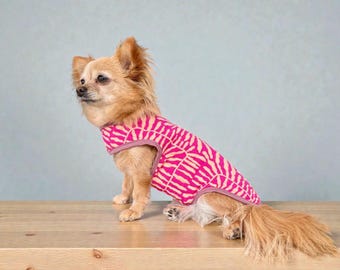 Puede incluir: Un perro pequeño, de color marrón claro, que lleva un chaleco para perros con estampado rosa y blanco. El perro está sentado sobre una superficie de madera con un fondo azul claro. El chaleco tiene un diseño geométrico.
