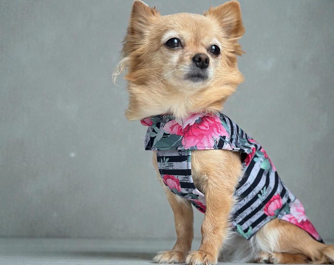 Dog raincoat, softshell, striped floral pattern with Velcro closure for Chihuahua / small dogs, waterproof