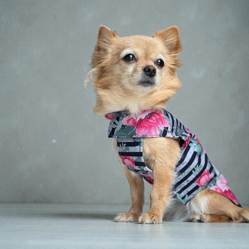 Hund Regenmantel Softshell gestreift Blumenmuster mit Klettverschluss für Chihuahua / kleine Hunde Wasserdicht Hunderegenmantel Bild 1