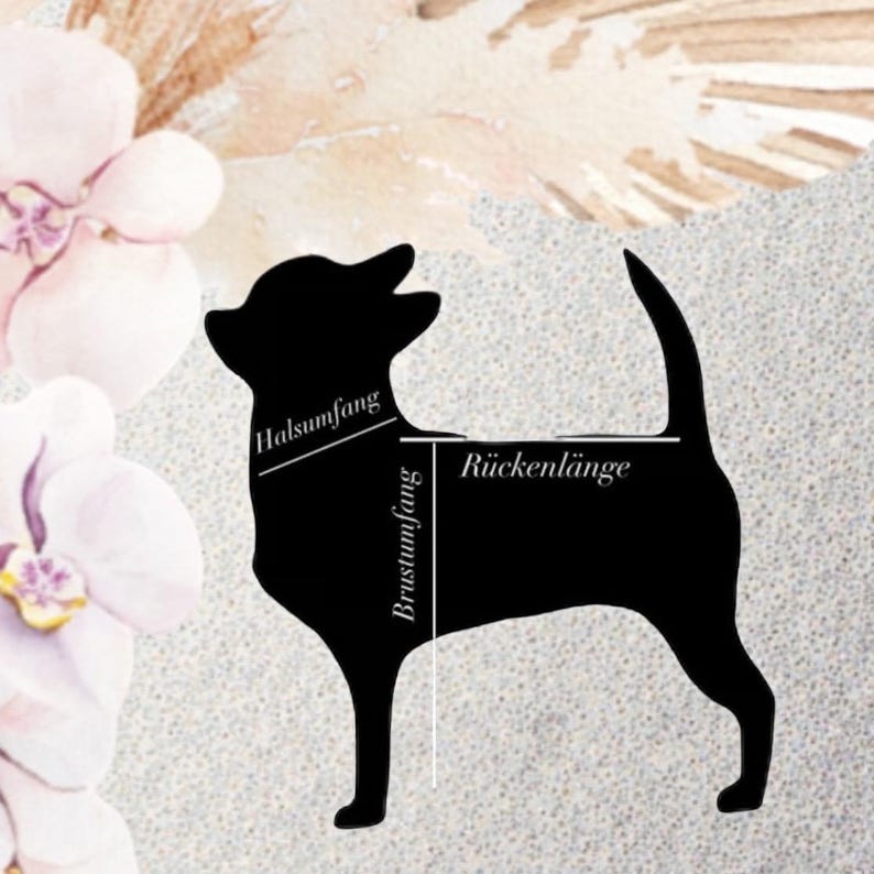 Hund Regenmantel Softshell gestreift Blumenmuster mit Klettverschluss für Chihuahua / kleine Hunde Wasserdicht Hunderegenmantel Bild 13