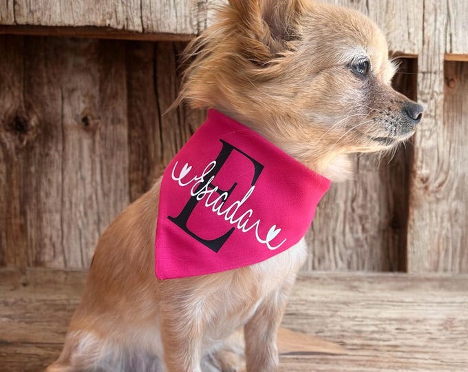 Dog scarf with name
