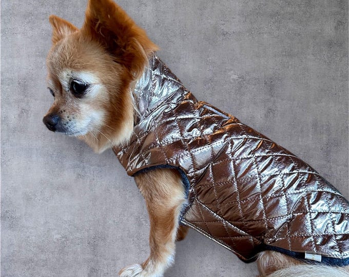 Deluxe dog coat shiny black or metallic for small dogs | Chihuahua