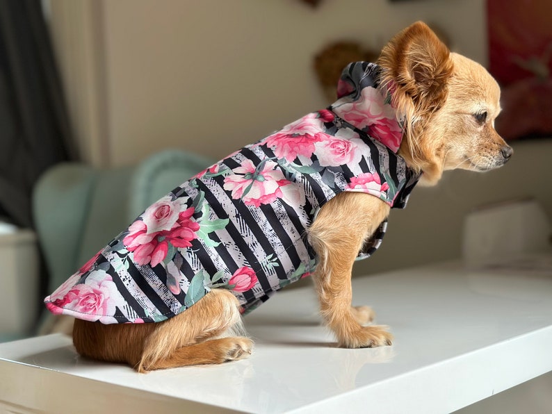 K&ouml;nnte beinhalten: Ein kleiner, hellbrauner Hund, der einen schwarz-wei&szlig; gestreiften Kapuzenregenmantel mit rosafarbenem Blumenmuster tr&auml;gt. Der Regenmantel hat eine Kapuze und ist f&uuml;r kleine Hunde konzipiert.