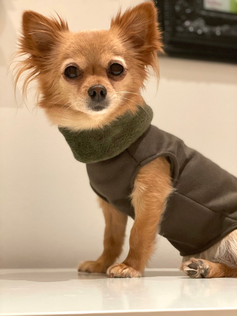 Hundepullover gefüttert in verschiedenen Farben Chihuahua / Kleinhund Pullover Bild 8