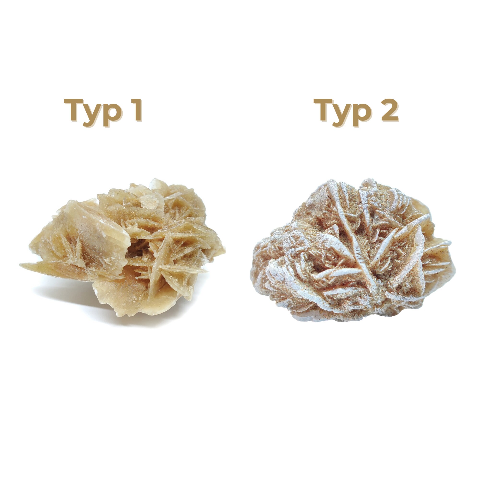 Sand Rosa Sand Rose | Desert Rose Sahara | 100% Natural Mineral | Selenite ...