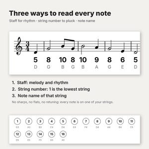 Puede incluir: Un gr&aacute;fico instructivo titulado Three ways to read every note, que muestra notaci&oacute;n musical en un pentagrama con n&uacute;meros de cuerda y nombres de nota. Debajo, una tabla numerada del 1 al 16 relaciona las cuerdas con las notas.