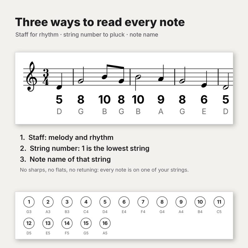 Puede incluir: Un gr&aacute;fico instructivo titulado Three ways to read every note, que muestra notaci&oacute;n musical en un pentagrama con n&uacute;meros de cuerda y nombres de nota. Debajo, una tabla numerada del 1 al 16 relaciona las cuerdas con las notas.