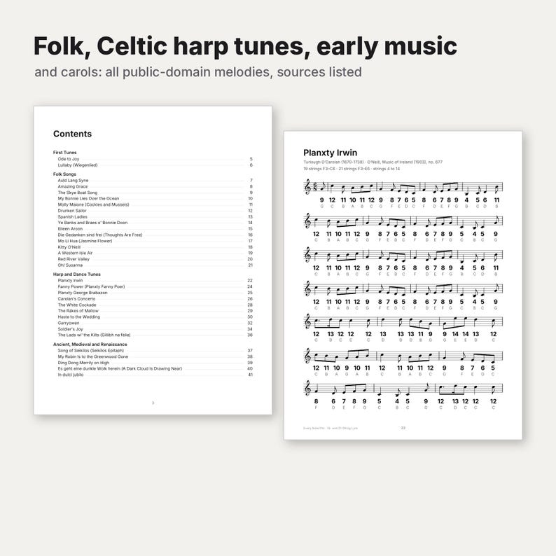 Puede incluir: Un libro de m&uacute;sica titulado Folk, Celtic harp tunes, early music and carols. La p&aacute;gina izquierda muestra una tabla de contenido con varias canciones. La p&aacute;gina derecha muestra la notaci&oacute;n musical de Planxty Irwin con indicadores de cuerda numerados.