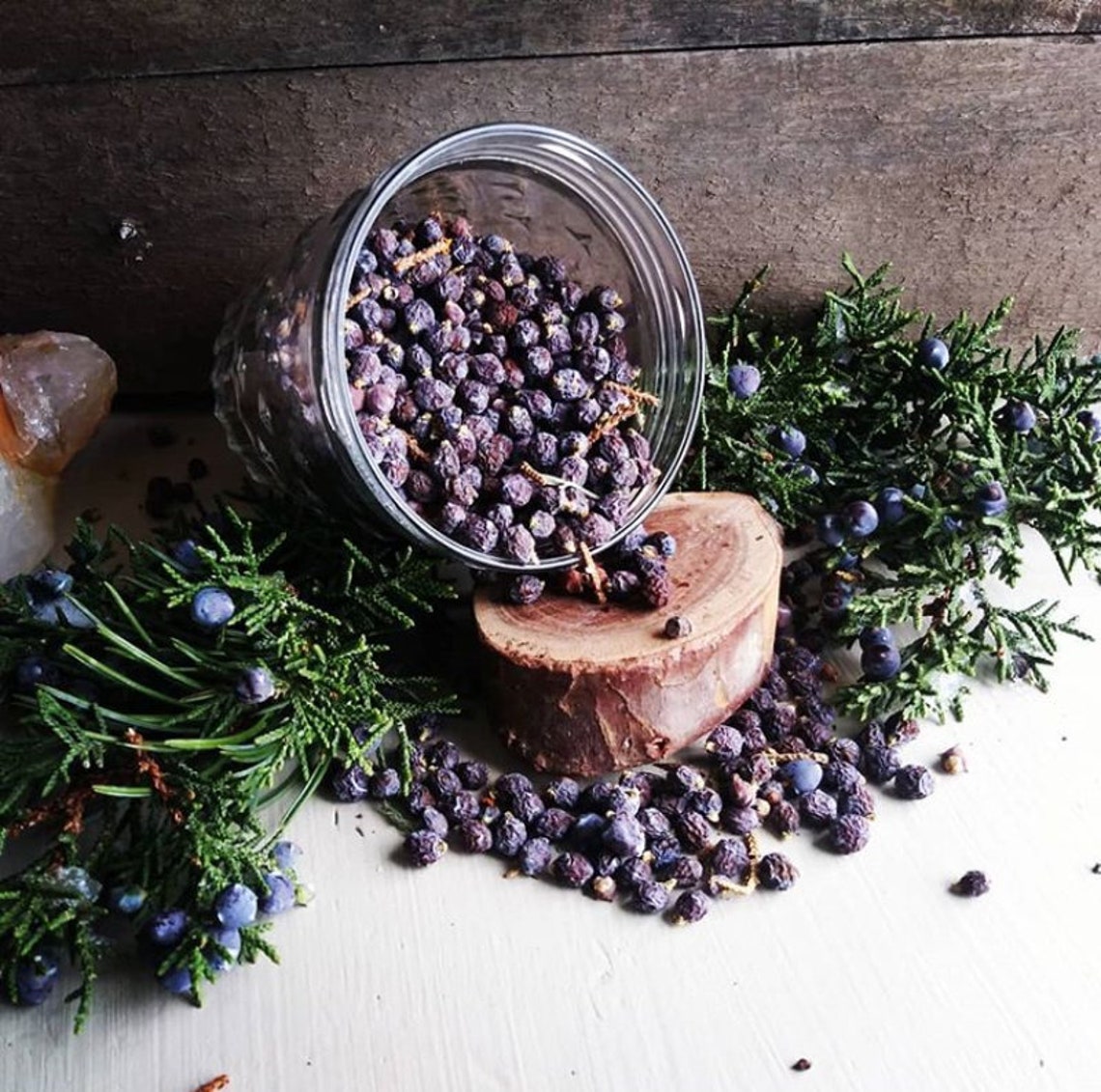 Dried juniper berries one ounce Etsy