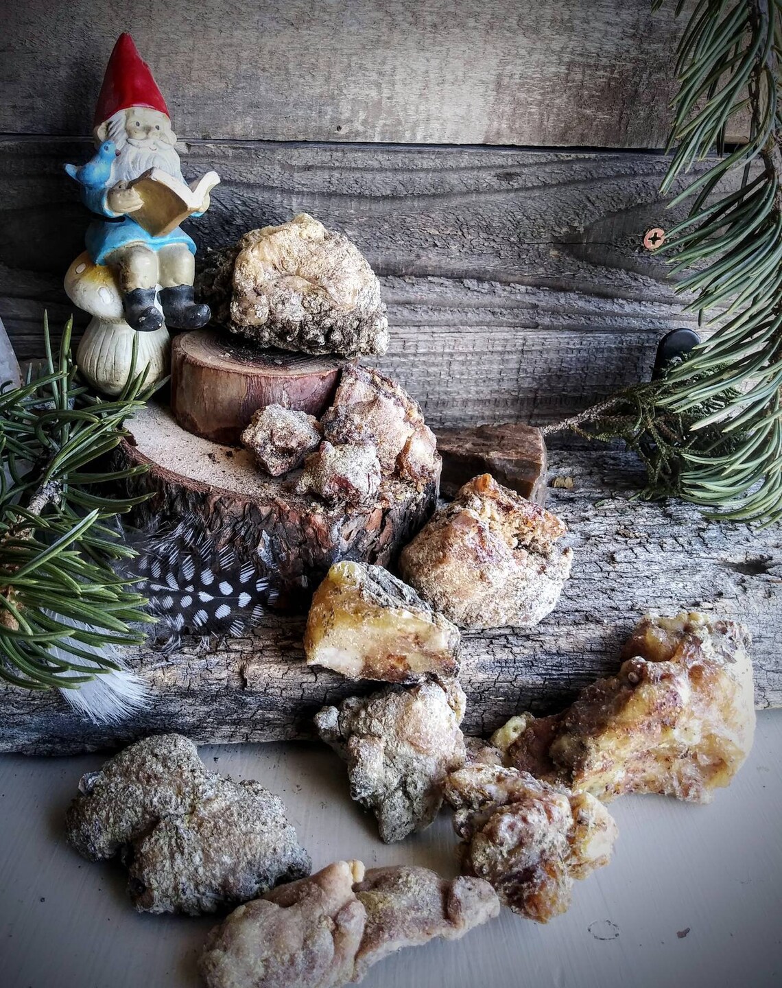 Raw Pine Pitch/Resin Etsy