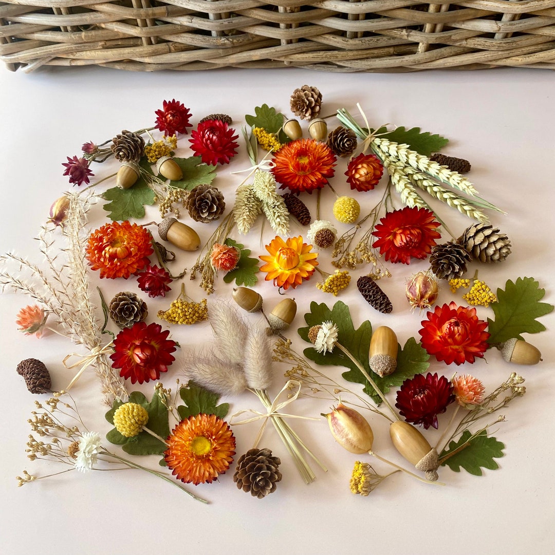 Autumnal Dried Flower Craft Gift Box Dried Flower Heads & Etsy UK