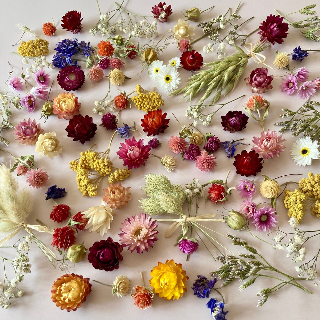 Mini Dried Flowers Craft Gift Box Resin Craft Candle Etsy UK