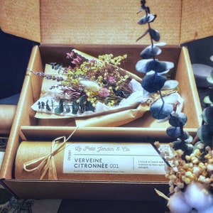 May include: A brown cardboard box with a lid open, revealing a bouquet of dried flowers wrapped in brown paper. A brown tube with a label that reads "Le Petit Jardin & Co. Verveine Citronnee 001" is in the box. The tube is tied with a brown ribbon.