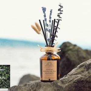 May include: A brown glass bottle diffuser with black reeds and a label that reads "Sapin Baumier du Quebec" by Le Petit Jardin & Co. The bottle is sitting on a rock with a blurred background of a body of water.