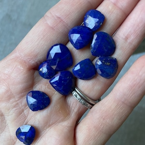 Lapis Flat Teardrop 10 Stone Assortment