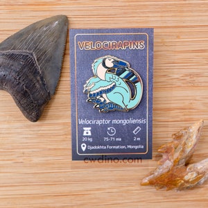 Velociraptor Pins image 3