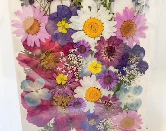 Dried Pressed Flower Pack - 20