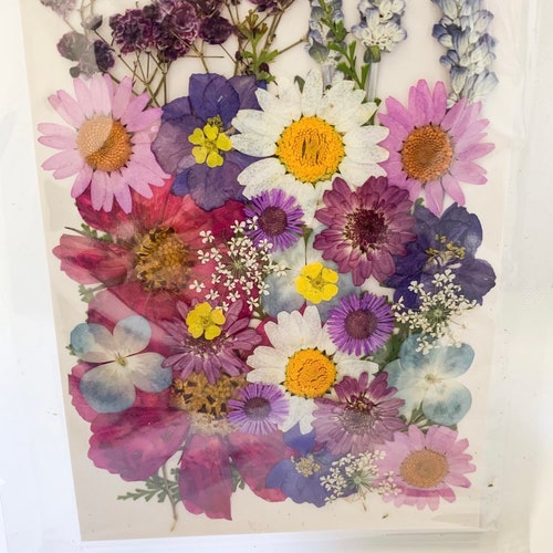 Dried Pressed Flower Pack 21 Etsy UK