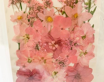 Dried Pressed Flower Pack - 18