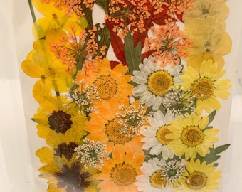 Dried Pressed Flower Pack - 3