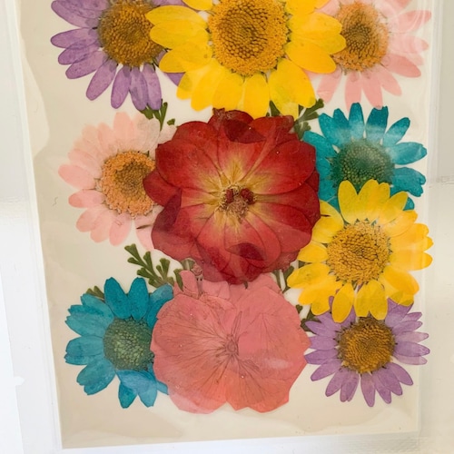 Dried Pressed Flower Pack 21 Etsy UK