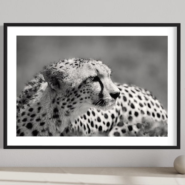 Cheetah noir et blanc tirage photo original - Kenya fine art Afrique de l’Est safari animal Décor monochrome Photographie animalière africaine